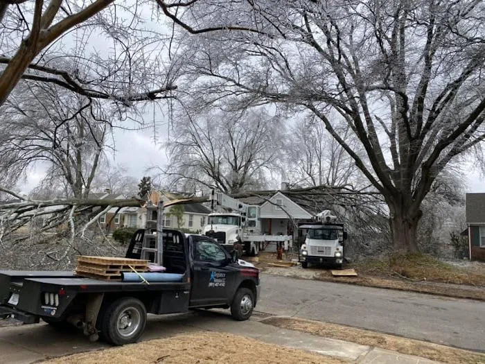 Allegiance LLC Picture 3