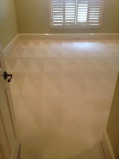 Safe-Dry® Carpet Cleaning of Bartlett Picture 6