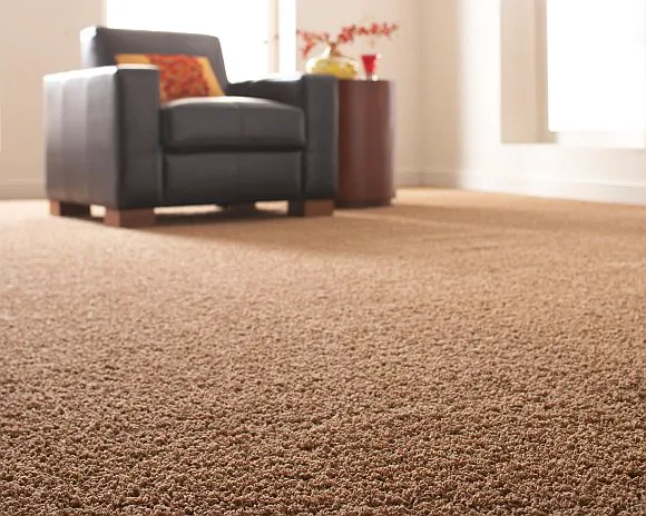 Safe-Dry Carpet Cleaning of Germantown Picture 1