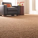 Safe-Dry Carpet Cleaning of Germantown