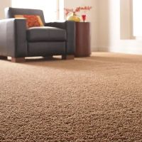 Safe-Dry Carpet Cleaning of Germantown ico