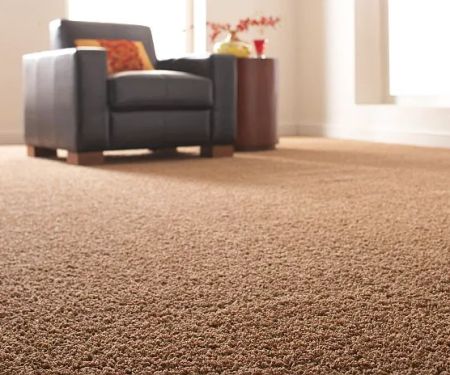 Safe-Dry Carpet Cleaning of Germantown