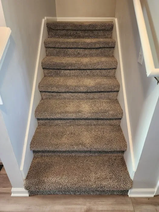 Safe-Dry Carpet Cleaning of Germantown Picture 3