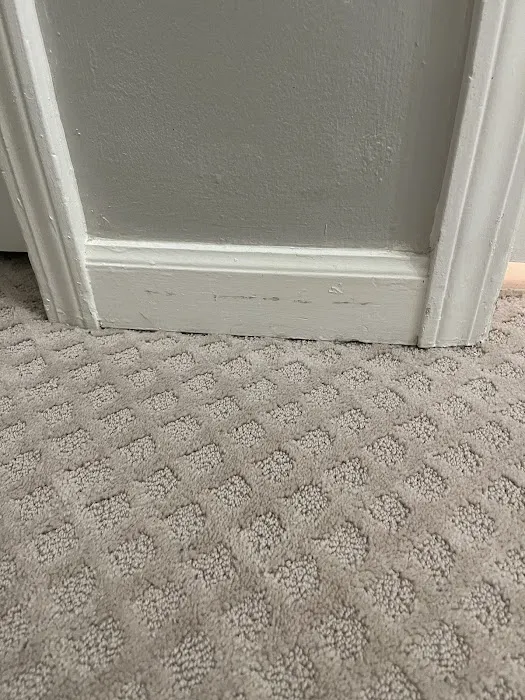 Safe-Dry Carpet Cleaning of Germantown Picture 7