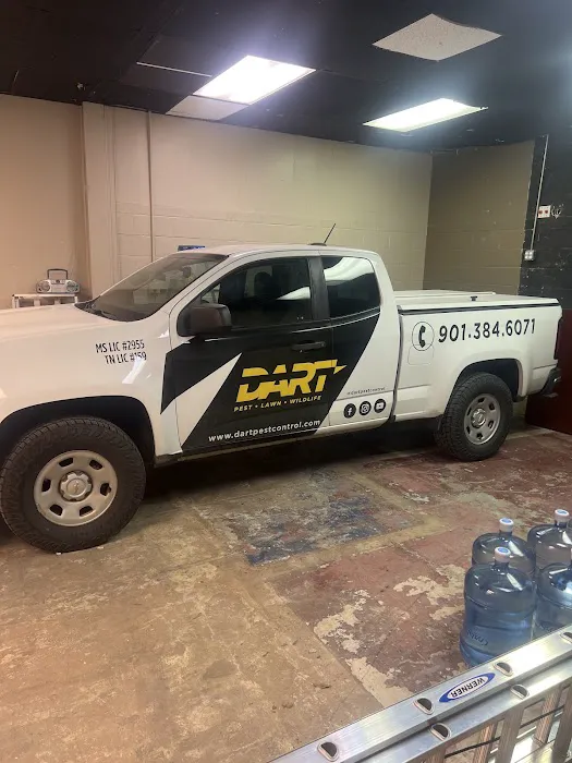 Dart Services Picture 1