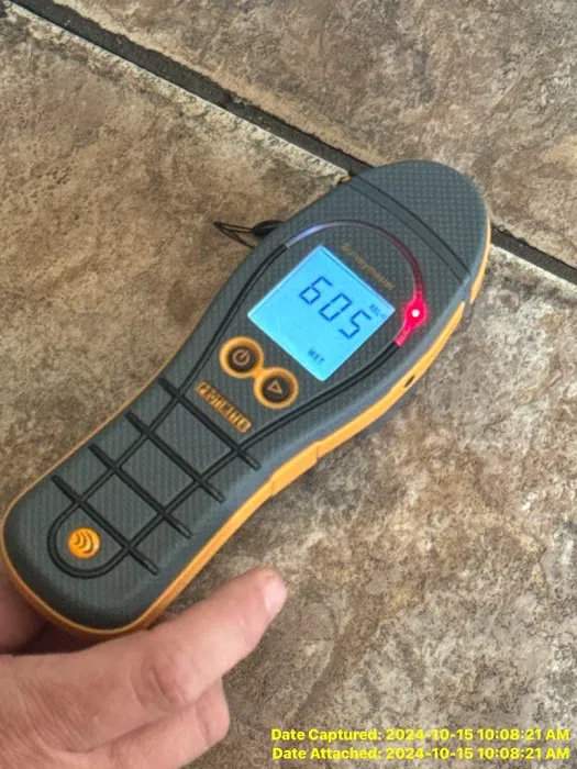 Dart Services Picture 6