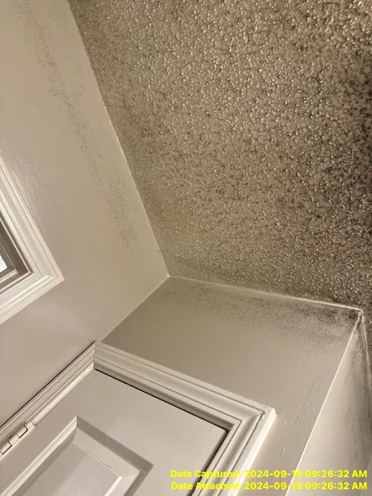 Dart Services Picture 7