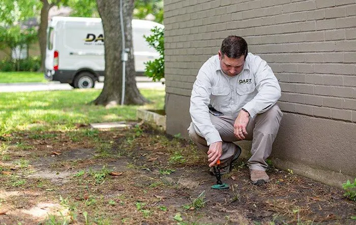 Dart Services Picture 9