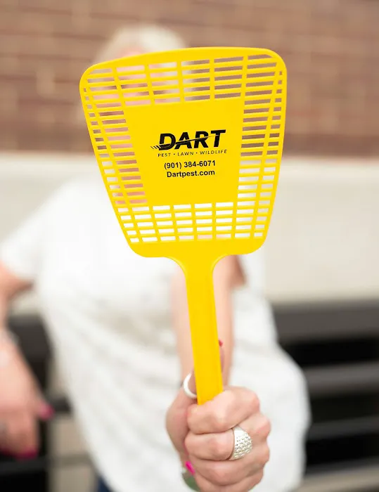 Dart Services Picture 10
