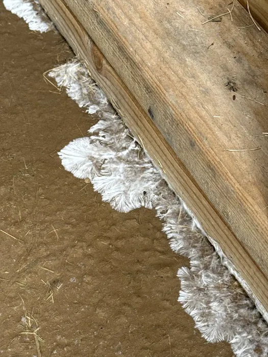 Restoration Clean Picture 3