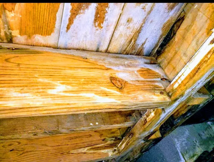 Restoration Clean Picture 5