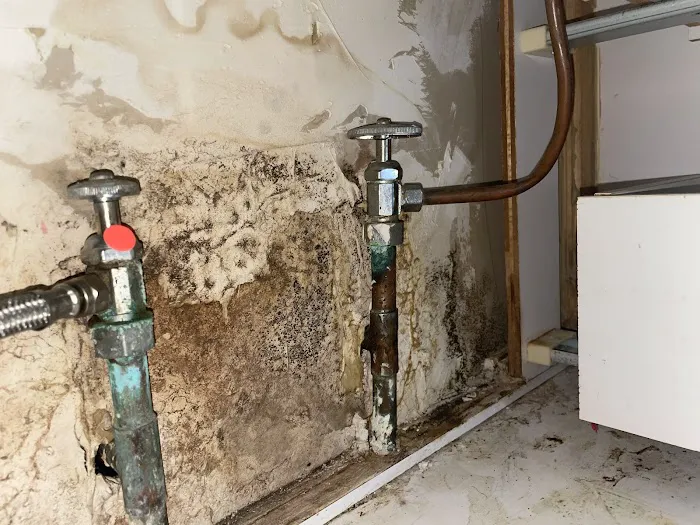 Restoration Clean Picture 8