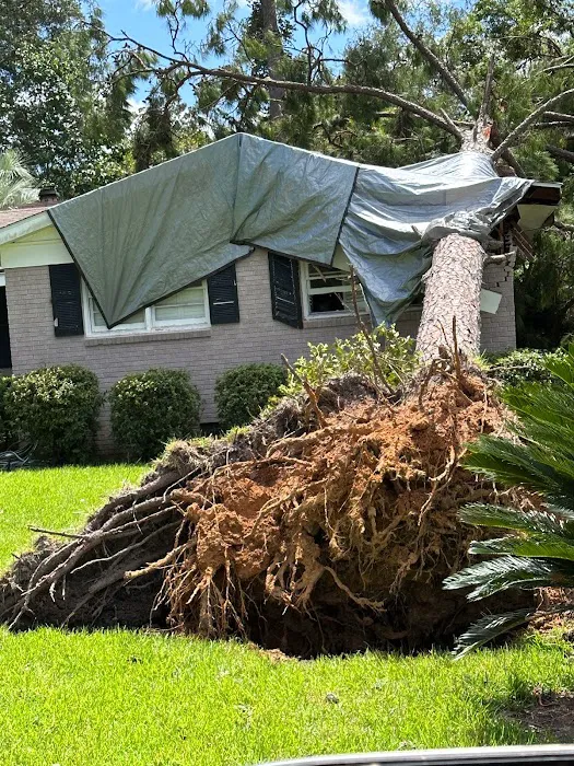 American Veterans Picture 8