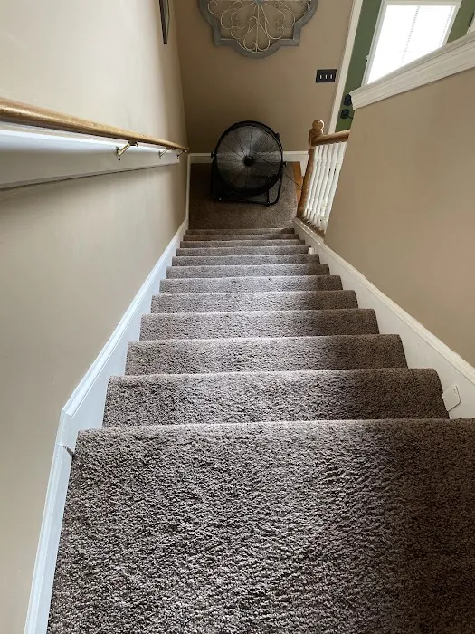 Stanley Steemer Picture 4