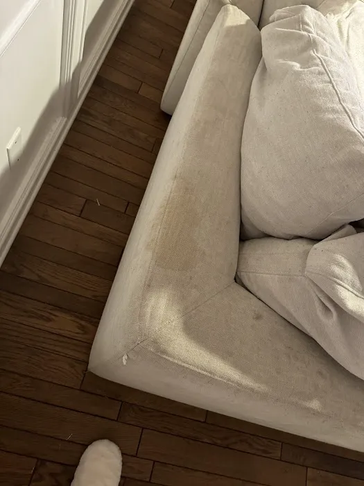 Stanley Steemer Picture 5