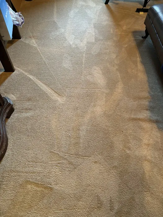 Stanley Steemer Picture 3