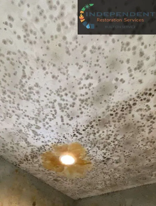 Independent Restoration Services Picture 8