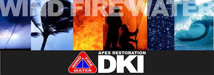 Apex Restoration DKI- Memphis Picture 1