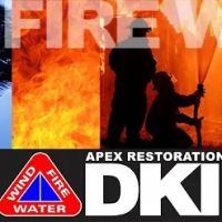 Apex Restoration DKI- Memphis ico