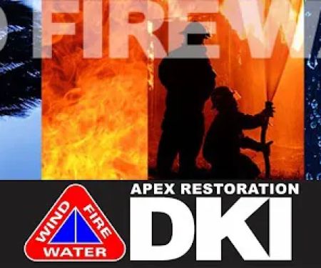 Apex Restoration DKI- Memphis