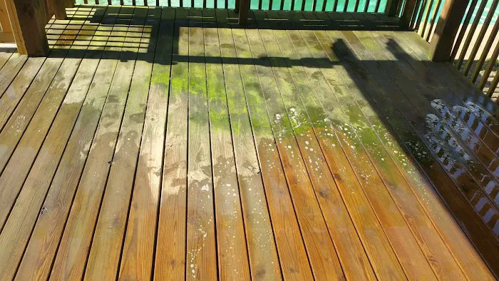 Healthy Home Services USA Picture 5