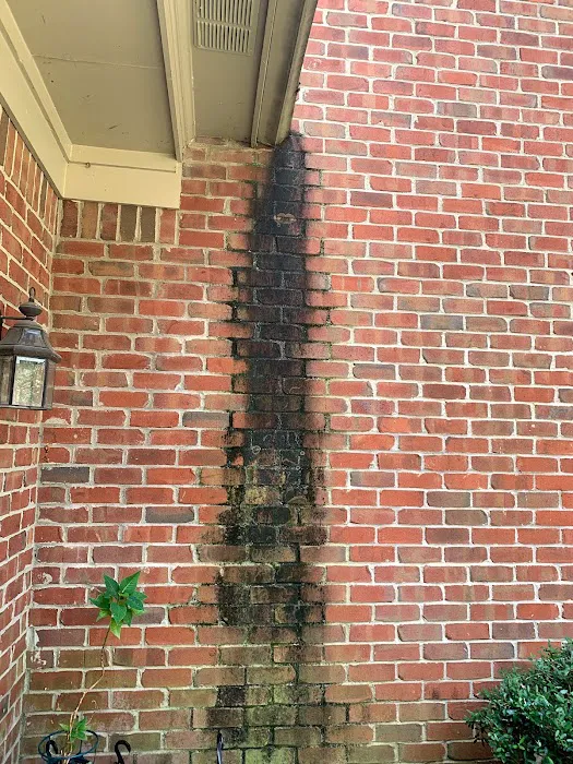 Healthy Home Services USA Picture 10