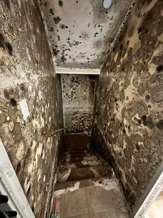 TruClean, Inc.- Air Duct Cleaning & Mold Remediation Specialist Picture 2