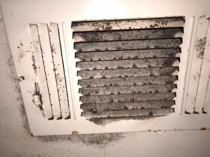 TruClean, Inc.- Air Duct Cleaning & Mold Remediation Specialist Picture 6