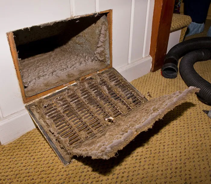 TruClean, Inc.- Air Duct Cleaning & Mold Remediation Specialist Picture 8