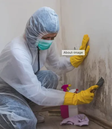 Shield Services Picture 2