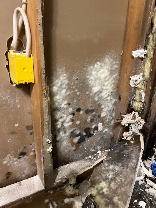 Mid-South Restoration Services, LLC Picture 4