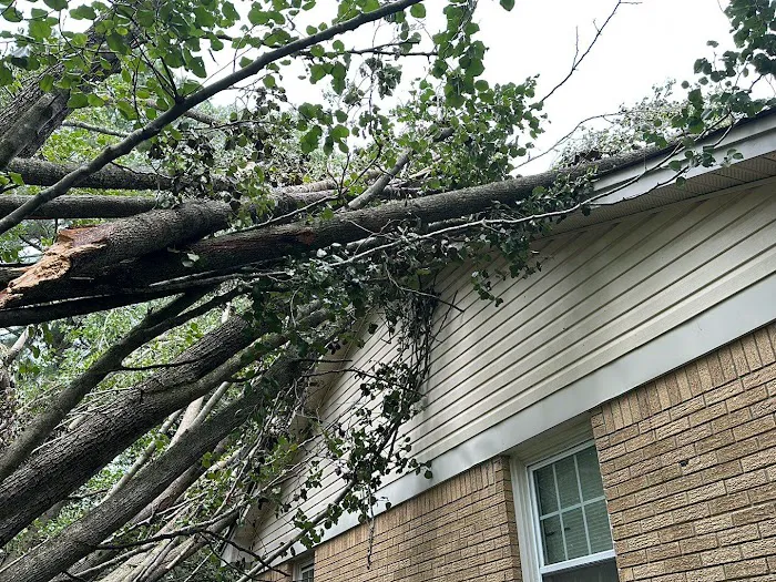 Mid-South Restoration Services, LLC Picture 9