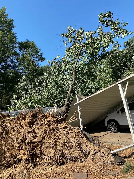 Mid-South Restoration Services, LLC Picture 10