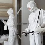 Renaissance Restoration