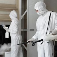 Renaissance Restoration ico