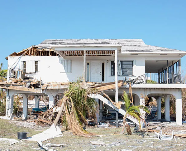 Renaissance Restoration Picture 5