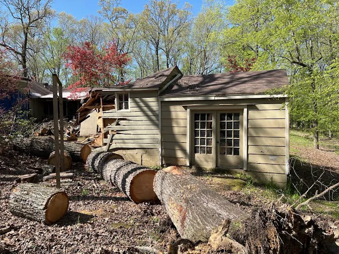 Renaissance Restoration Picture 3