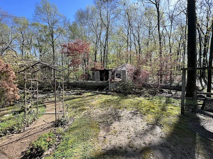 Renaissance Restoration Picture 9