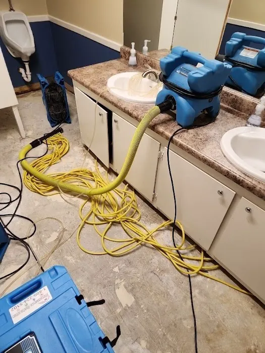 Renaissance Restoration Picture 7