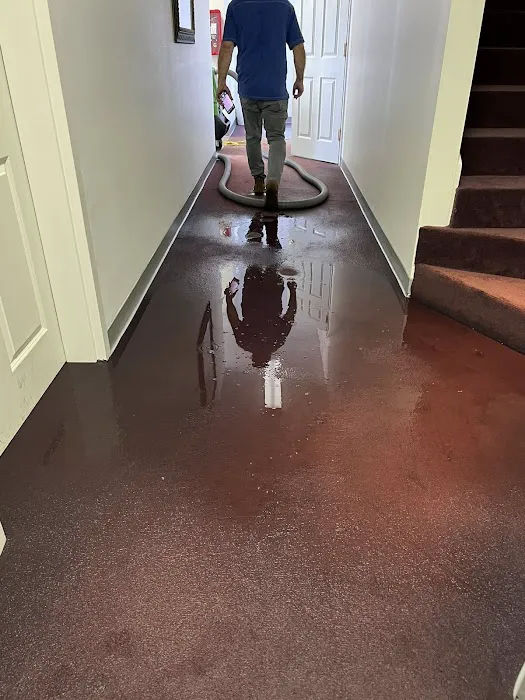 SERVPRO of Fayette, Haywood, Hardeman & Lauderdale Counties Picture 2