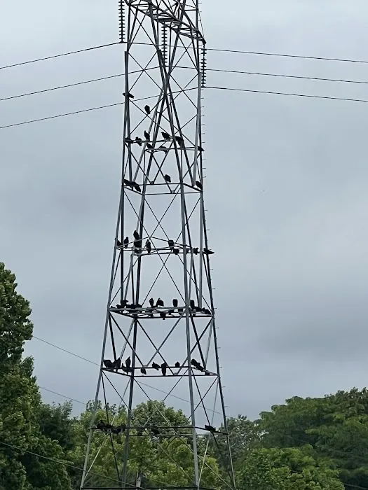 SERVPRO of Fayette, Haywood, Hardeman & Lauderdale Counties Picture 9