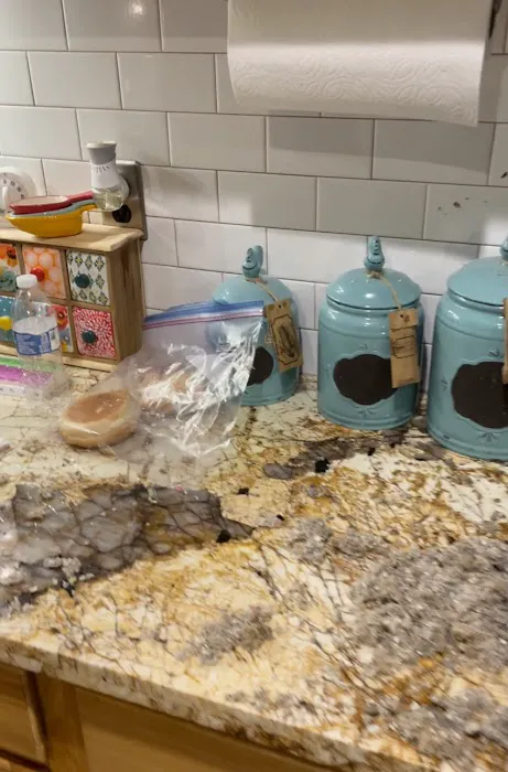 Boston Water Damage Restoration Picture 5