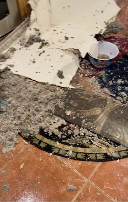 Boston Water Damage Restoration Picture 7