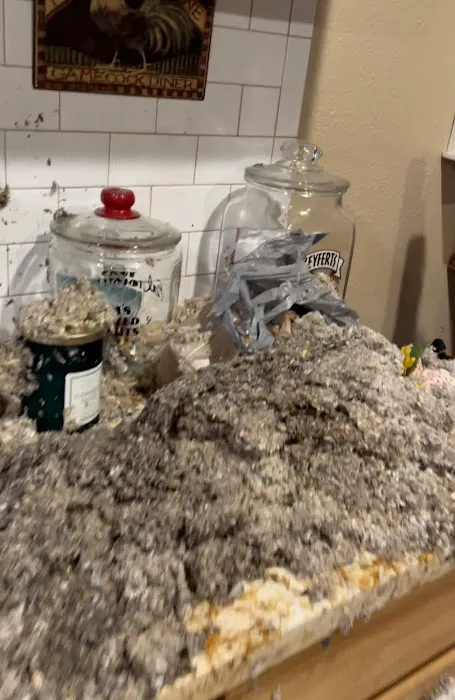 Boston Water Damage Restoration Picture 4