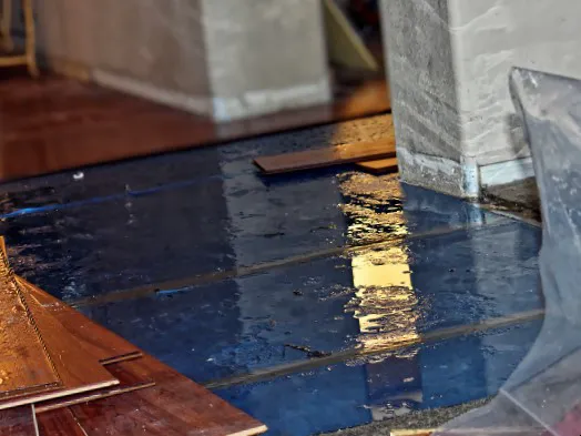 Grunchie Repairs Picture 2