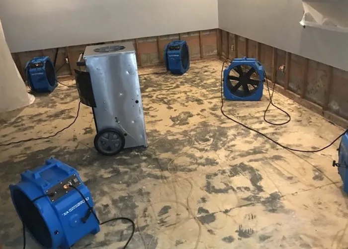 Grunchie Repairs Picture 1