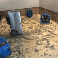 Grunchie Repairs ico