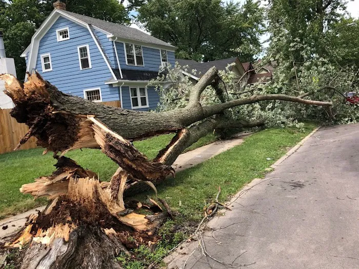 Grunchie Repairs Picture 3