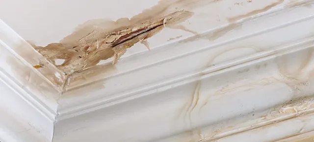 Grunchie Repairs Picture 6