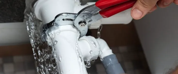 Grunchie Repairs Picture 7